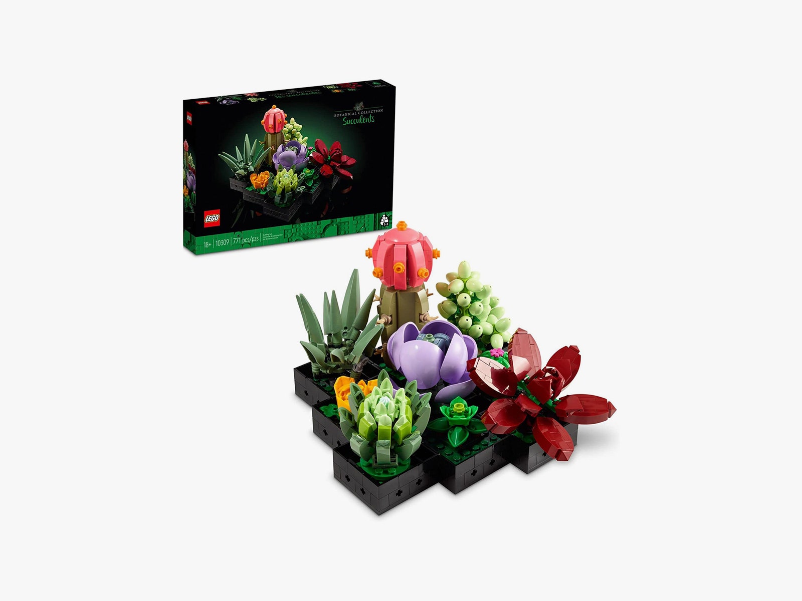 LEGO Icons Succulents