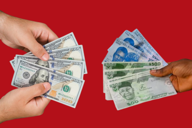 Naira Hits N1,600/$1 Amid Global Trade Turmoil